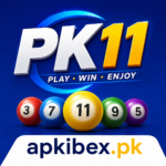 PK11 Game