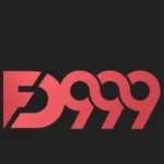FD999 Game