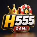 H555 Game